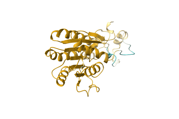 AF-A0A097ZPC9-F1 image