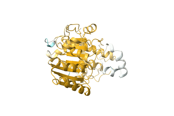 AF-A0A097ZPD4-F1 image