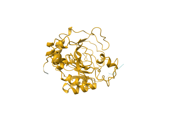 AF-A0A097ZPD5-F1 image