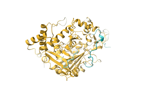 AF-A0A097ZPE2-F1 image