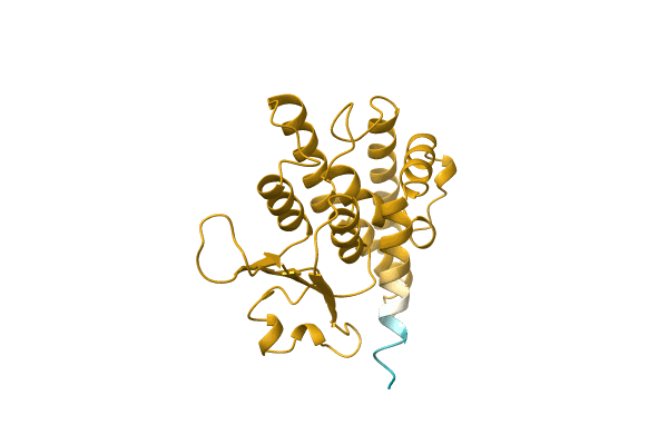 AF-A0A0A0FDQ4-F1 image