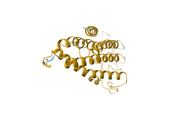 AF-A0A0A0MCY2-F1 image