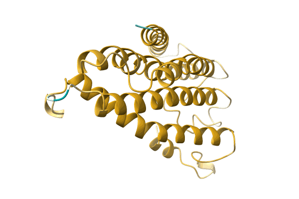 AF-A0A0A0MEY7-F1 image