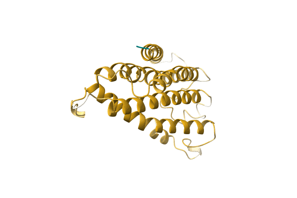 AF-A0A0A0MFP8-F1 image