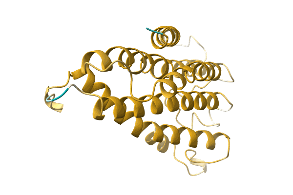 AF-A0A0A0MHG6-F1 image