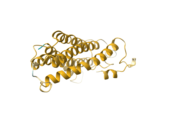 AF-A0A0A0MJD1-F1 image