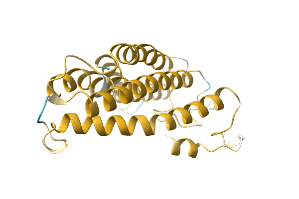 AF-A0A0A0MJY6-F1 image