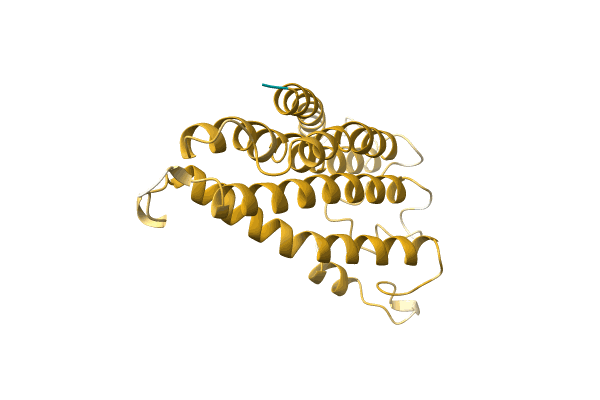 AF-A0A0A0MKP5-F1 image