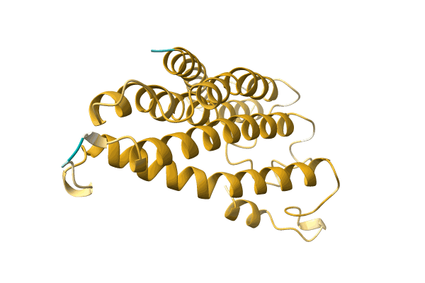 AF-A0A0A0ML52-F1 image