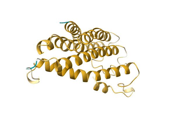 AF-A0A0A0MLP0-F1 image