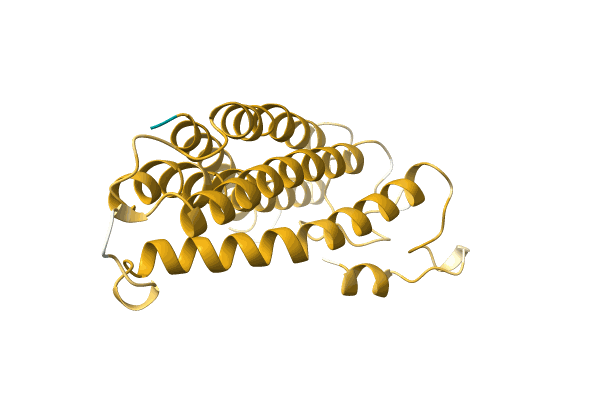 AF-A0A0A0Q7A6-F1 image