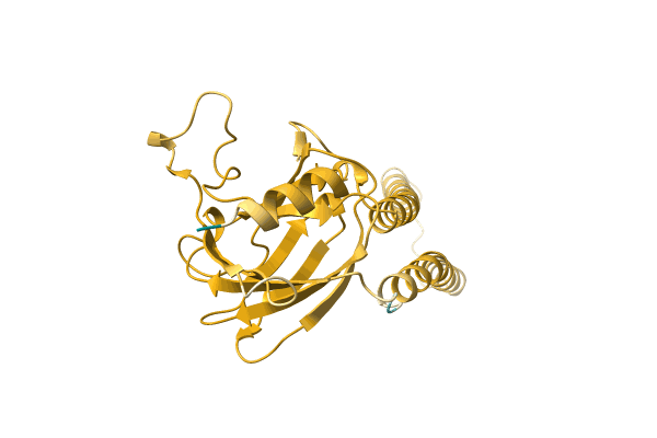 AF-A0A0A0V961-F1 image