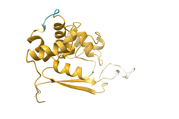 AF-A0A0A1EHH8-F1 image