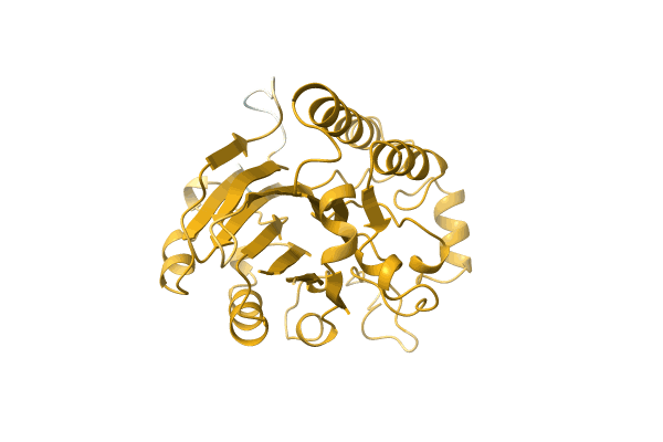 AF-A0A0A1YJ06-F1 image