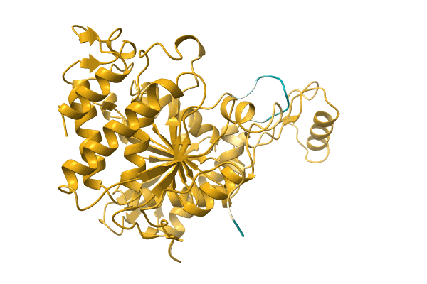 AF-A0A0A1YJ28-F1 image