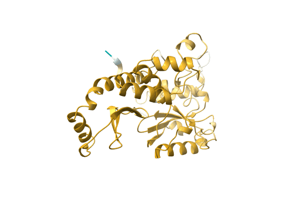 AF-A0A0A1YJ52-F1 image