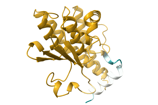 AF-A0A0A1YJ62-F1 image