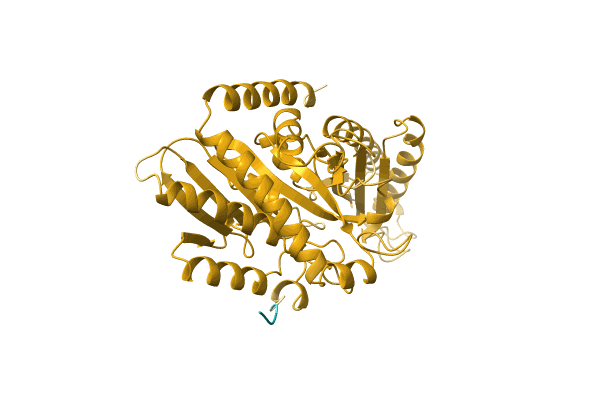 AF-A0A0A2V776-F1 image