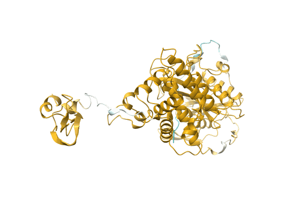 AF-A0A0A6ZDN2-F1 image