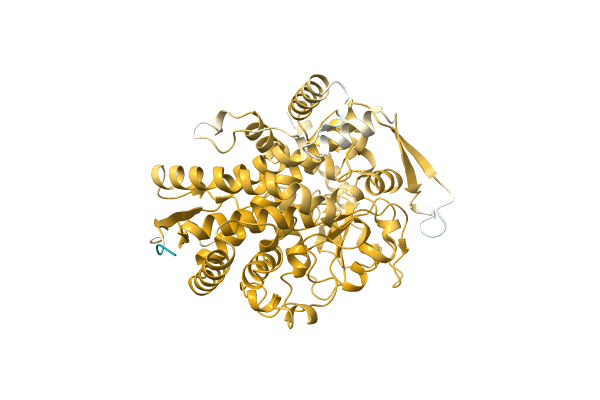 AF-A0A0A7DH10-F1 image