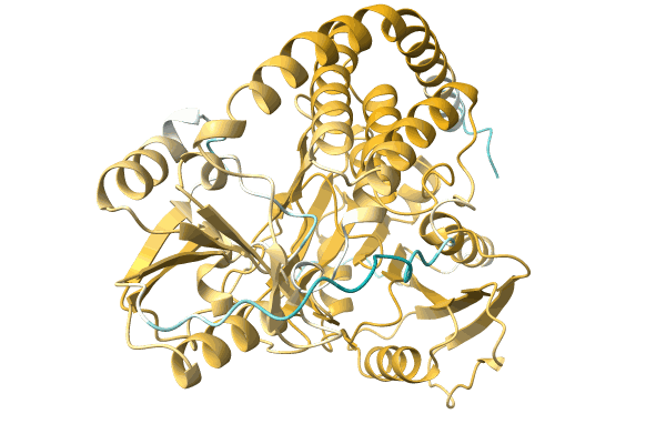 AF-A0A0A8WX24-F1 image