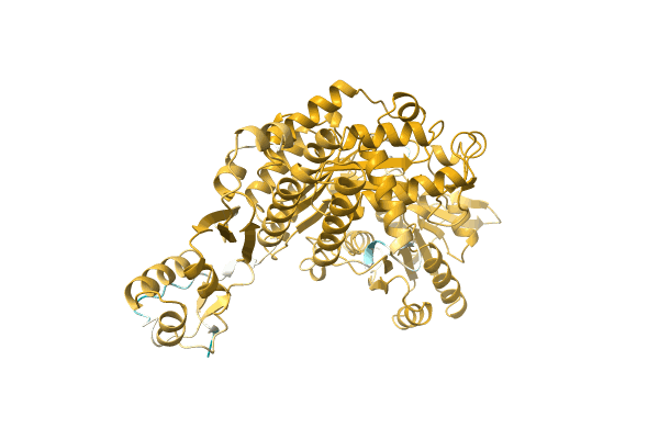 AF-A0A0A8WX28-F1 image