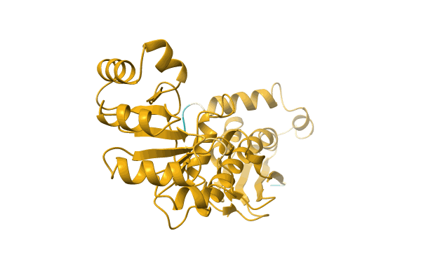 AF-A0A0A8WX78-F1 image