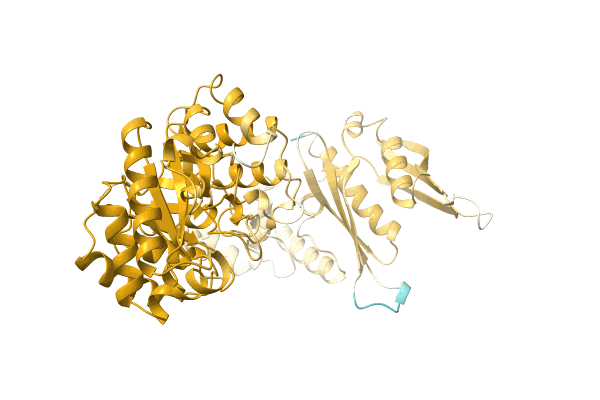 AF-A0A0A8WXA3-F1 image