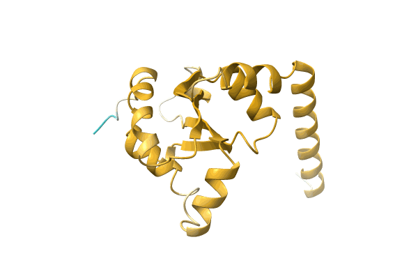 AF-A0A0B0QJN8-F1 image