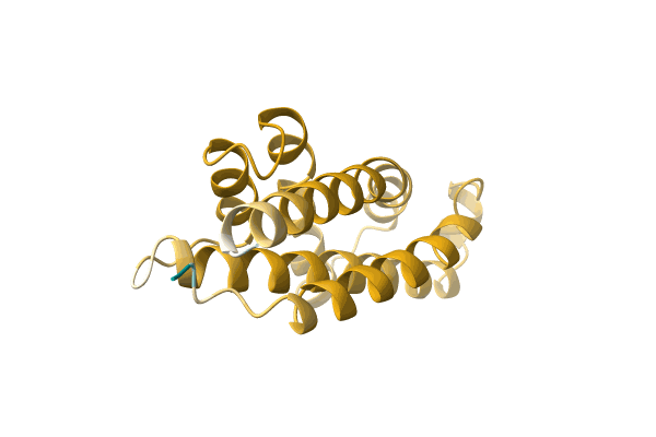 AF-A0A0B0QJR1-F1 image