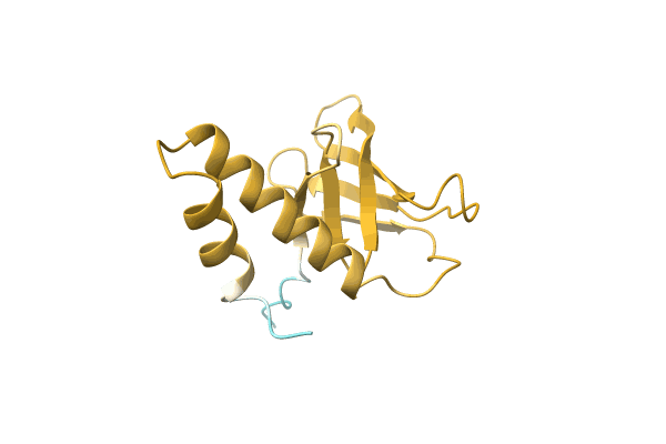 AF-A0A0B1PKF2-F1 image