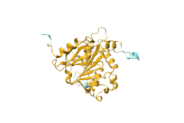 AF-A0A0B1PKI6-F1 image