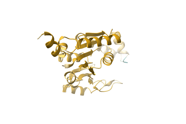 AF-A0A0B2CFD9-F1 image