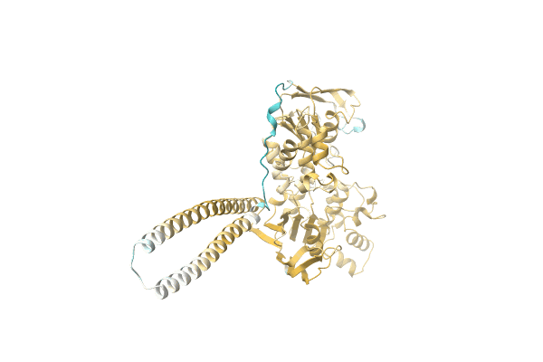 AF-A0A0B2CMM5-F1 image