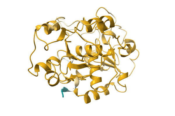 AF-A0A0B2CMN2-F1 image