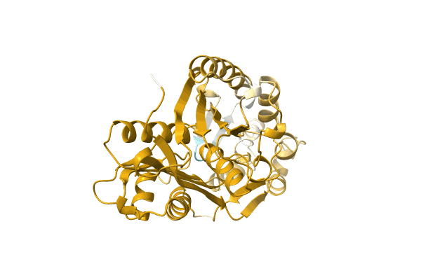 AF-A0A0B2CMN6-F1 image