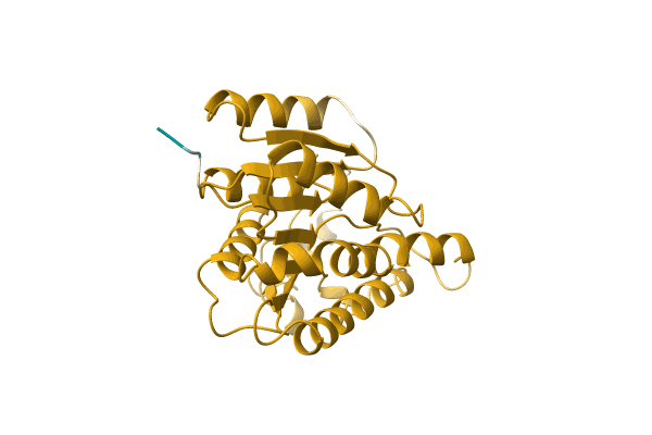 AF-A0A0B2CMP8-F1 image