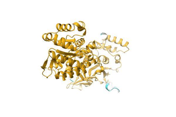 AF-A0A0B2CMQ7-F1 image