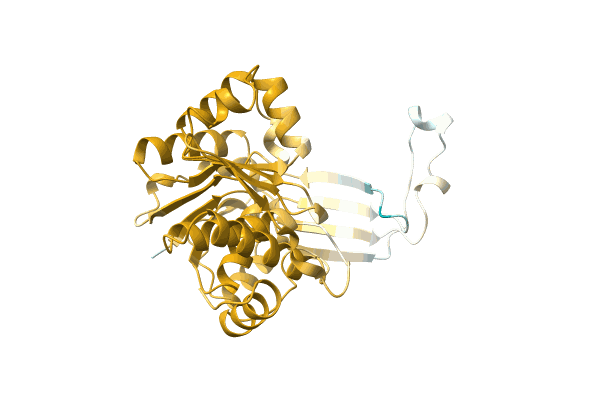 AF-A0A0B2CMS4-F1 image