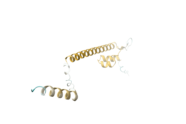 AF-A0A0B2CMT5-F1 image