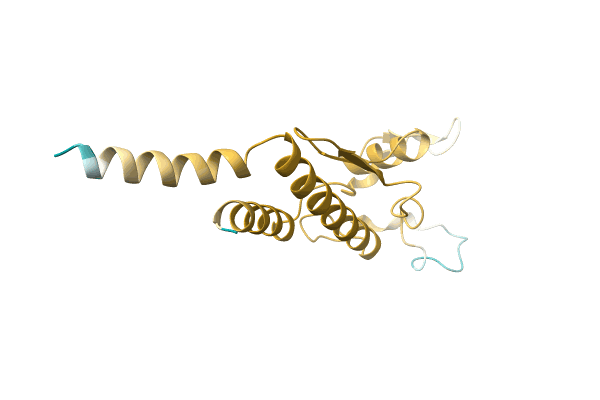 AF-A0A0B2D2Y2-F1 image