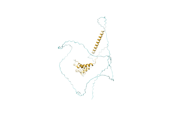 AF-A0A0B2XG51-F1 image