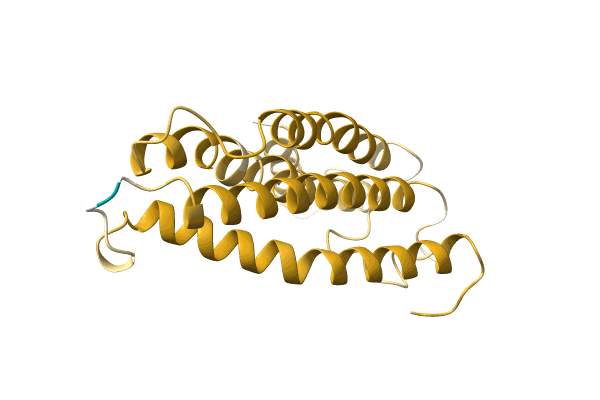 AF-A0A0B4MFE0-F1 image