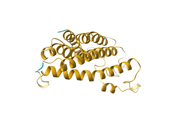 AF-A0A0B4MGJ1-F1 image