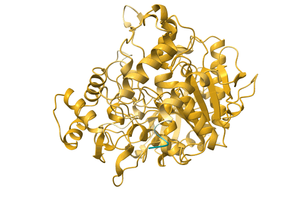 AF-A0A0B4RXW5-F1 image