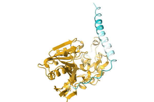 AF-A0A0B4RY87-F1 image