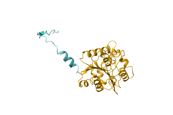 AF-A0A0B4XV66-F1 image