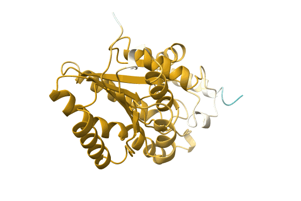 AF-A0A0B4XV89-F1 image