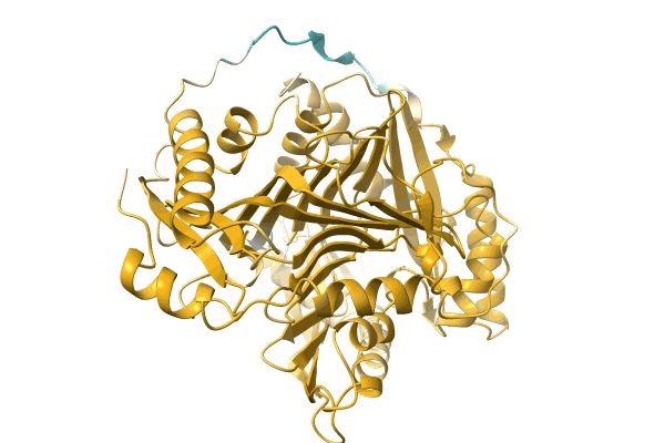 AF-A0A0B4XVA9-F1 image