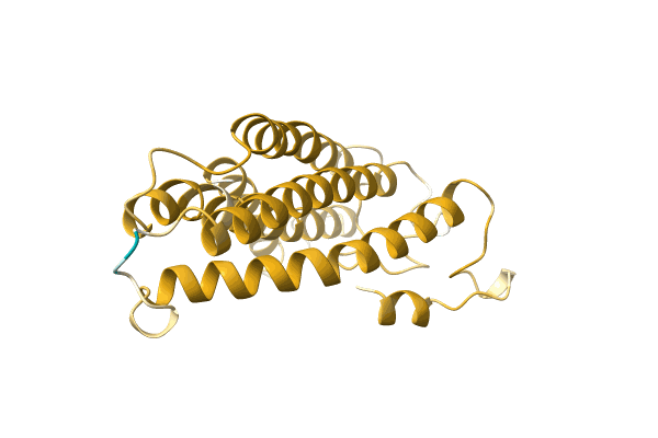 AF-A0A0B5A1R8-F1 image